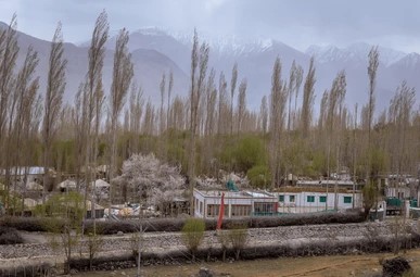 Border areas, remote villages in Ladakh digitally connected: Army